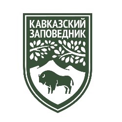 kavkazskii zapovednik.jpg kavkazskii zapovednik.jpg